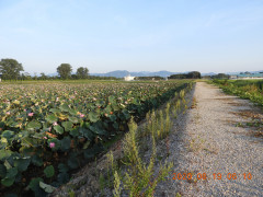 DSCN0237.JPG