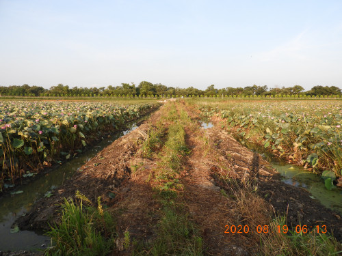 DSCN0238.JPG