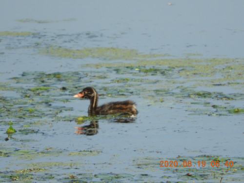 DSCN0261.JPG