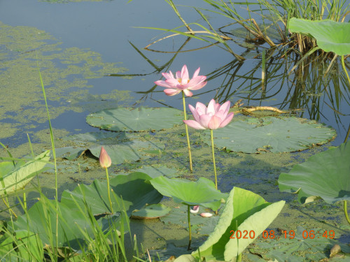 DSCN0266.JPG