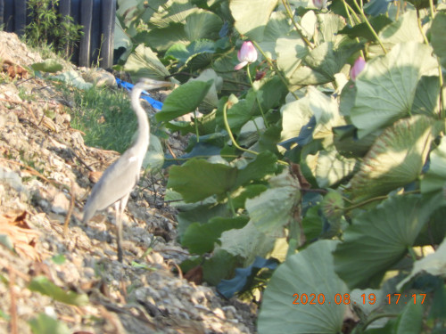 DSCN0276.JPG