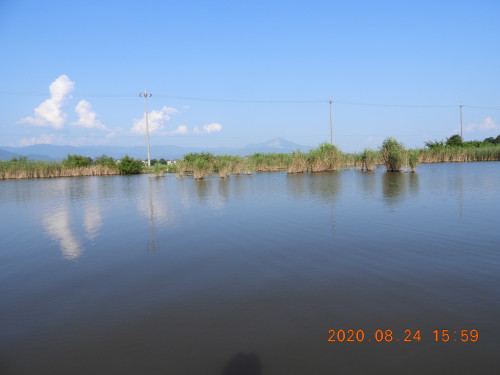 DSCN0295.JPG