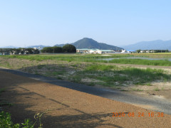DSCN0311.JPG