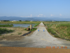 DSCN0312.JPG