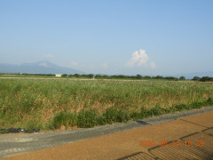 DSCN0314.JPG