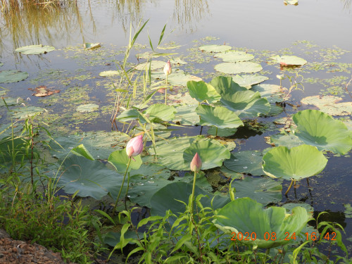 DSCN0315.JPG