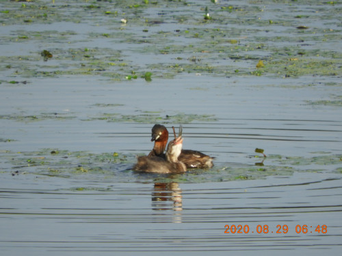 DSCN0370.JPG
