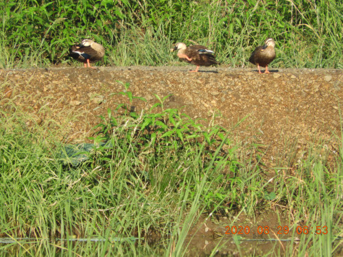 DSCN0375.JPG
