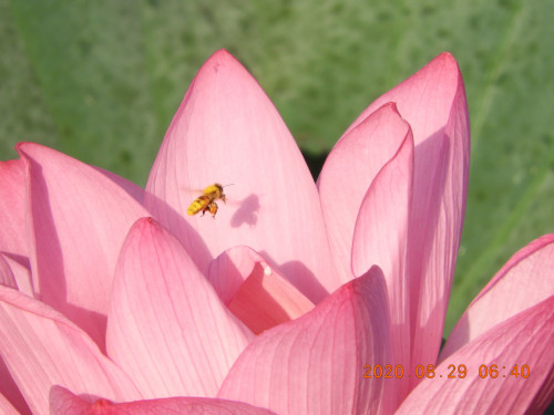DSCN0363.JPG