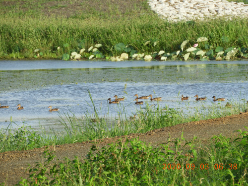DSCN0003.JPG