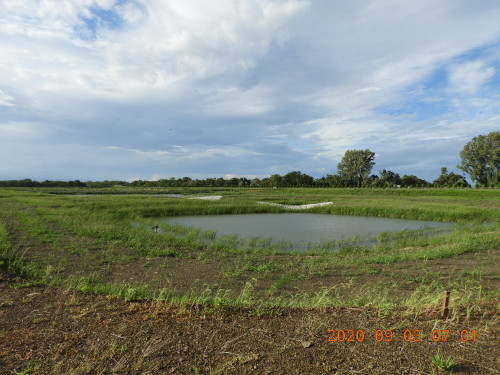 DSCN0016.JPG