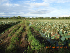 DSCN0006.JPG