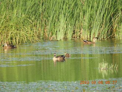 DSCN0243.JPG