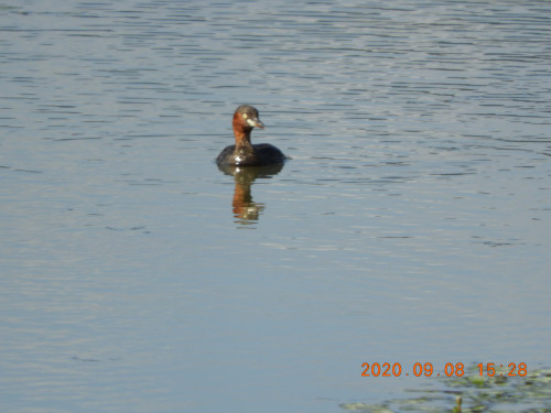 DSCN0251.JPG