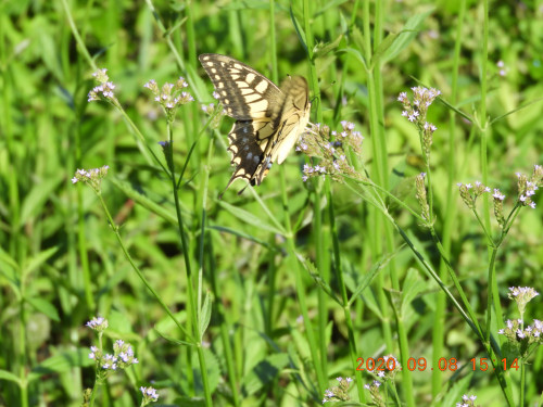 DSCN0245.JPG