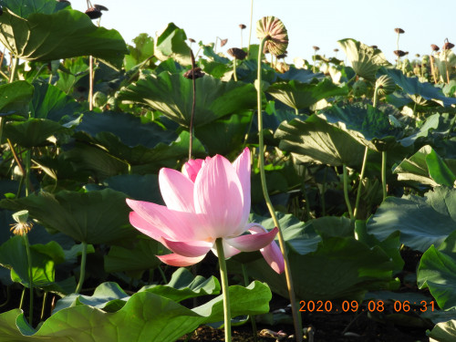 DSCN0235.JPG