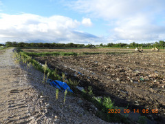 DSCN0306.JPG