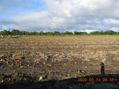 DSCN0307.JPG