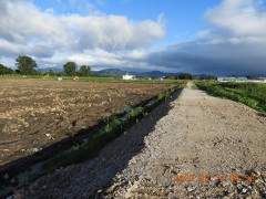 DSCN0308.JPG