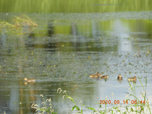 DSCN0299.JPG