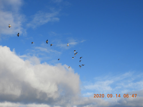 DSCN0301.JPG