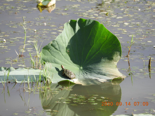 DSCN0314.JPG