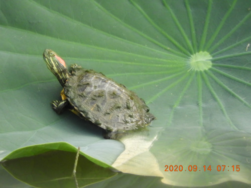DSCN0320.JPG
