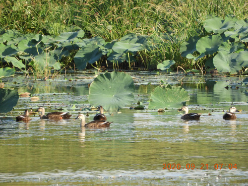 DSCN9592.JPG