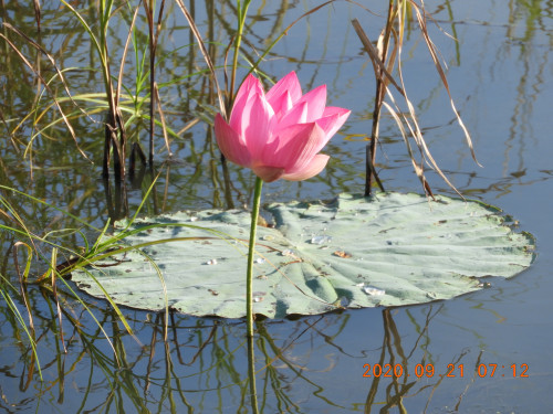 DSCN9597.JPG