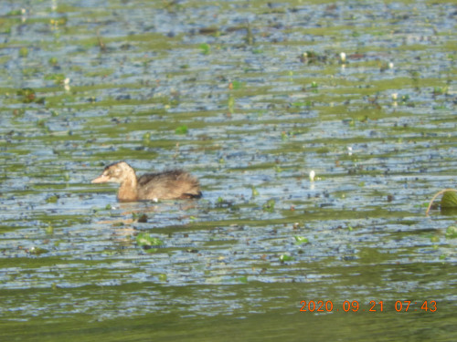DSCN9612.JPG