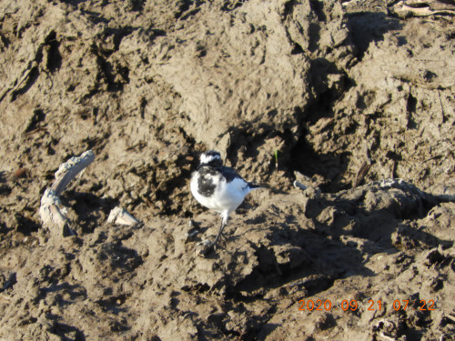 DSCN9598.JPG