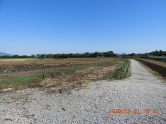 DSCN9627.JPG