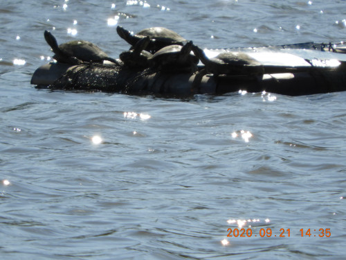 DSCN9620.JPG