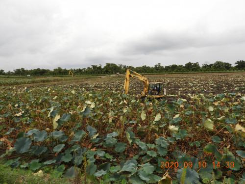 DSCN0256.JPG