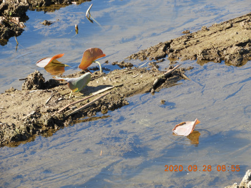 DSCN9668.JPG