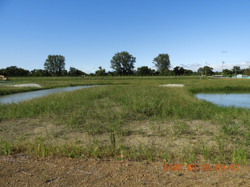 DSCN9677.JPG