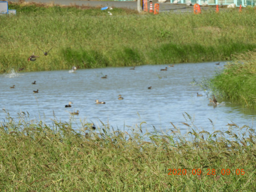 DSCN9672.JPG