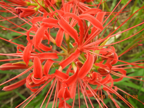 DSCN9692.JPG
