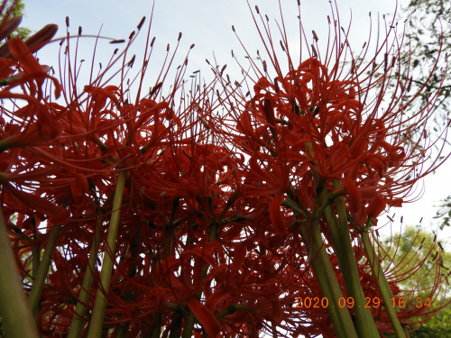 DSCN9712.JPG