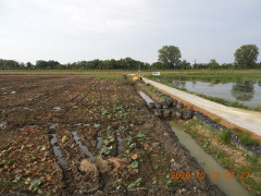 DSCN9759.JPG