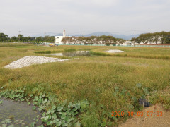 DSCN9769.JPG