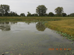 DSCN9770.JPG