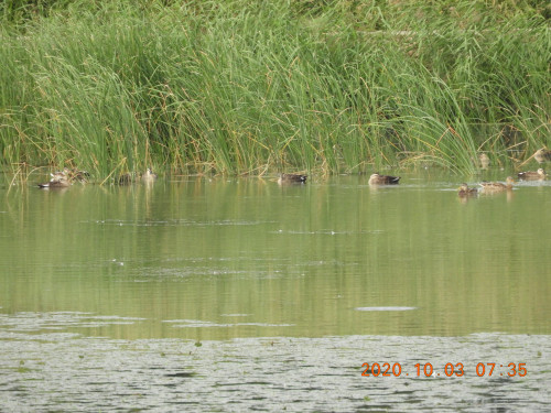 DSCN9773.JPG
