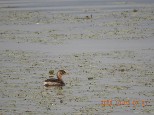 DSCN9748.JPG