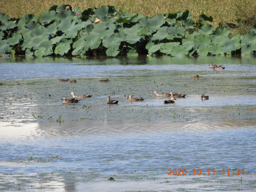 DSCN9836.JPG