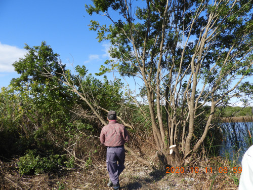 DSCN9825.JPG