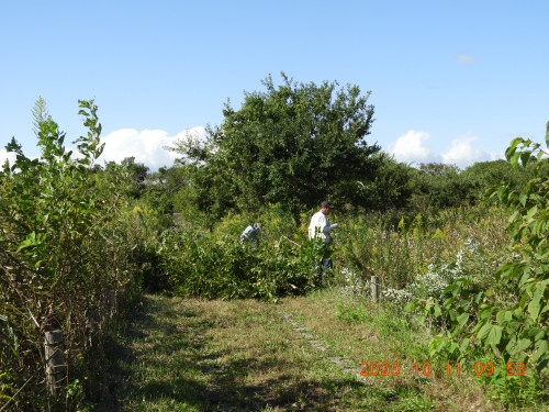 DSCN9826.JPG