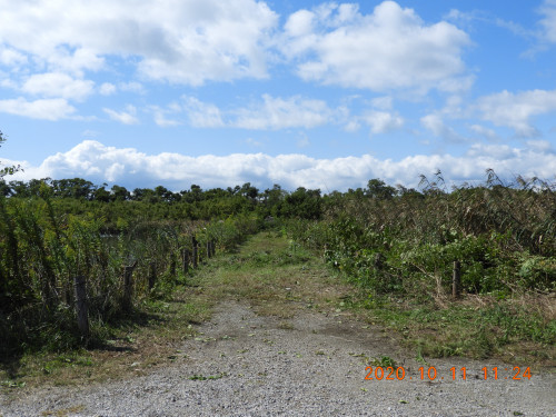 DSCN9828.JPG