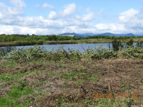 DSCN9847.JPG