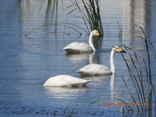 DSCN9869.JPG